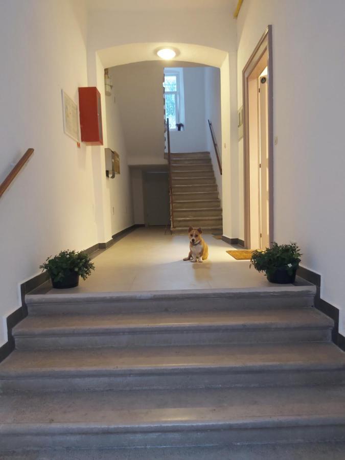 Apartman Draguc 普拉 外观 照片